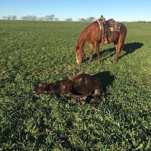 Meet your Posher, Greg